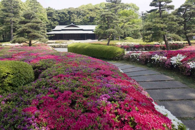Imperial Palace, East Gardens (Kokyo Higashi Gyoen), view of tea house (Suwa No Chaya) with azalea in bloom, Tokyo, Japan
