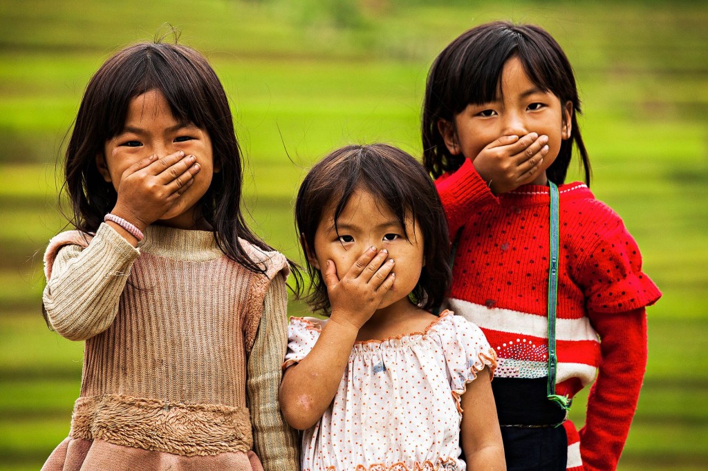 Sapa